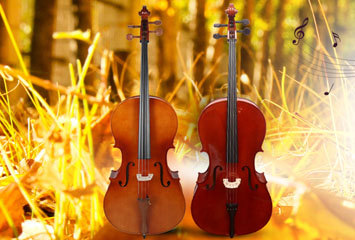 泰兴小提琴发音系统的构成