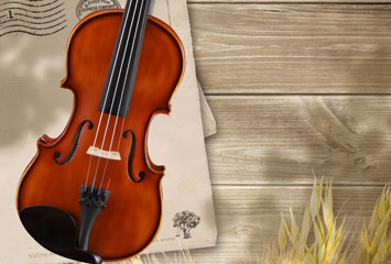 泰兴提琴是用什么材料制作的？